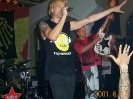 Die Toten Hosen