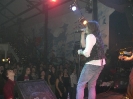 Mad Zeppelin 2007