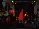 Irish Folk Night 2009