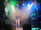 Blow Out Festival am 15.09.2012