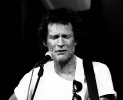 Love Songs for Freedom & Equality