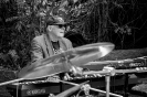 Pig City Blues Project 2019