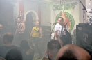 10 Jahre Schweine in Grün
