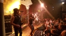 The Baboon Show 2019