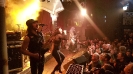 The Baboon Show 2019