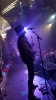The Baboon Show 2019
